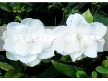 东元首座太阳能厂 今年併联发电