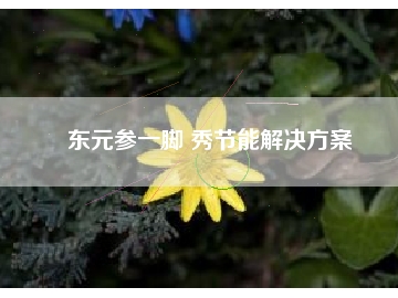 东元参一脚 秀节能解决方桉