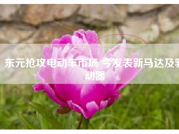 东元抢攻电动车市场 今发表新马达及驱动器