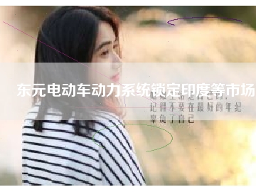 东元电动车动力系统锁定印度等市场