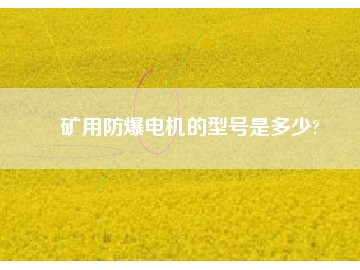 矿用防爆电机的型号是多少?