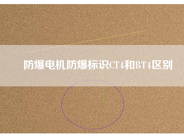 防爆电机防爆标识CT4和BT4区别