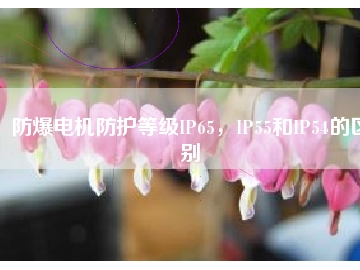 防爆电机防护等级IP65，IP55和IP54的区别