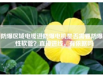 防爆区域电缆进防爆电机是否需要防爆挠性软管？直接进线，有依据吗