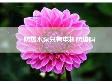 防爆水泵只有电机防爆吗