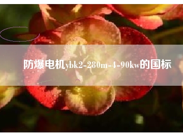 防爆电机ybk2-280m-4-90kw的国标