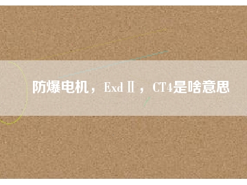 防爆电机，ExdⅡ，CT4是啥意思