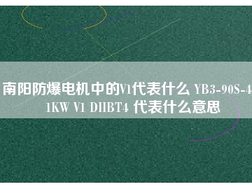 南阳防爆电机中的V1代表什么 YB3-90S-4 1.1KW V1 DIIBT4 代表什么意思