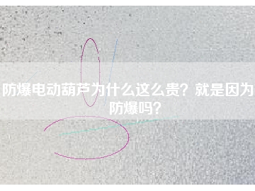 防爆电动葫芦为什么这么贵？就是因为能防爆吗？
