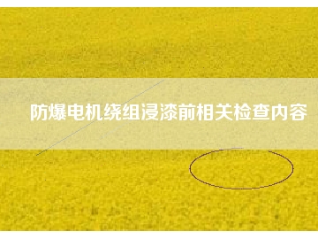 防爆电机绕组浸漆前相关检查内容