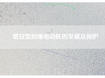增安型防爆电动机的发展及保护