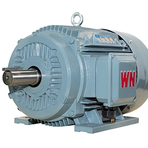 TYCP系列三相变频驱动永磁同步电动机