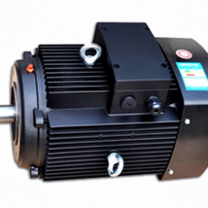 多级泵专用电机