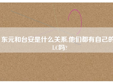 东元和台安是什么关系,他们都有自己的PLC吗?