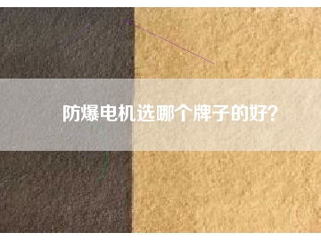 防爆电机选哪个牌子的好？