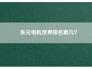 东元电机世界排名第几？