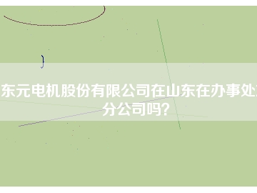 东元电机股份有限公司在山东在办事处或分公司吗？