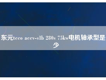 东元teco aeev-s1b 280s 75kw电机轴承型是多少