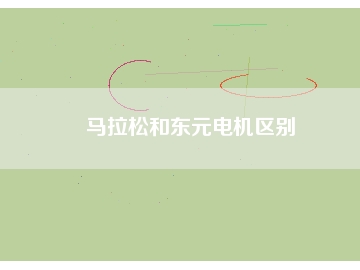 马拉松和东元电机区别