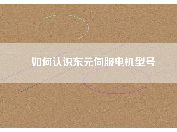 如何认识东元伺服电机型号