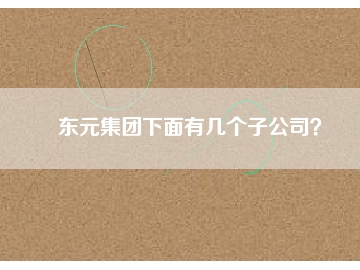 东元集团下面有几个子公司？