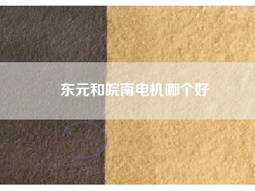 东元和皖南电机哪个好