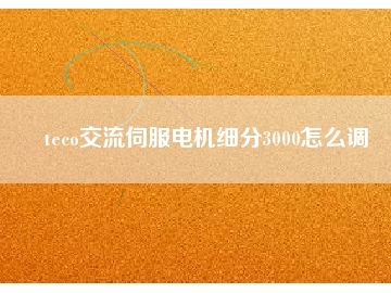 teco交流伺服电机细分3000怎么调