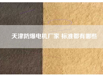 天津防爆电机厂家 标准都有哪些