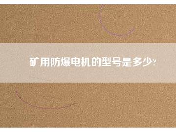 矿用防爆电机的型号是多少?