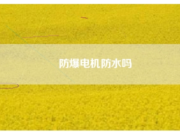 防爆电机防水吗