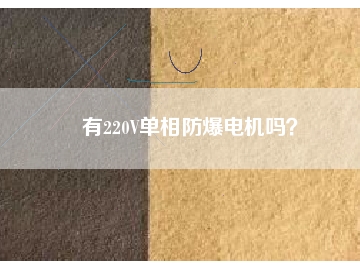 有220V单相防爆电机吗？